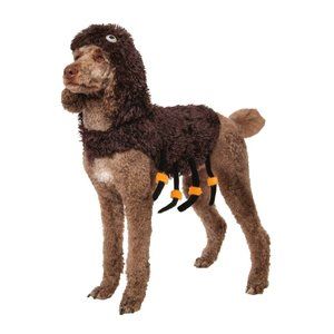 Pet Costume Spider
